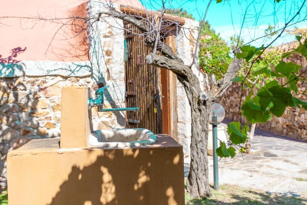 B&B Pettirosso Garden San Teodoro  Zewnętrze zdjęcie