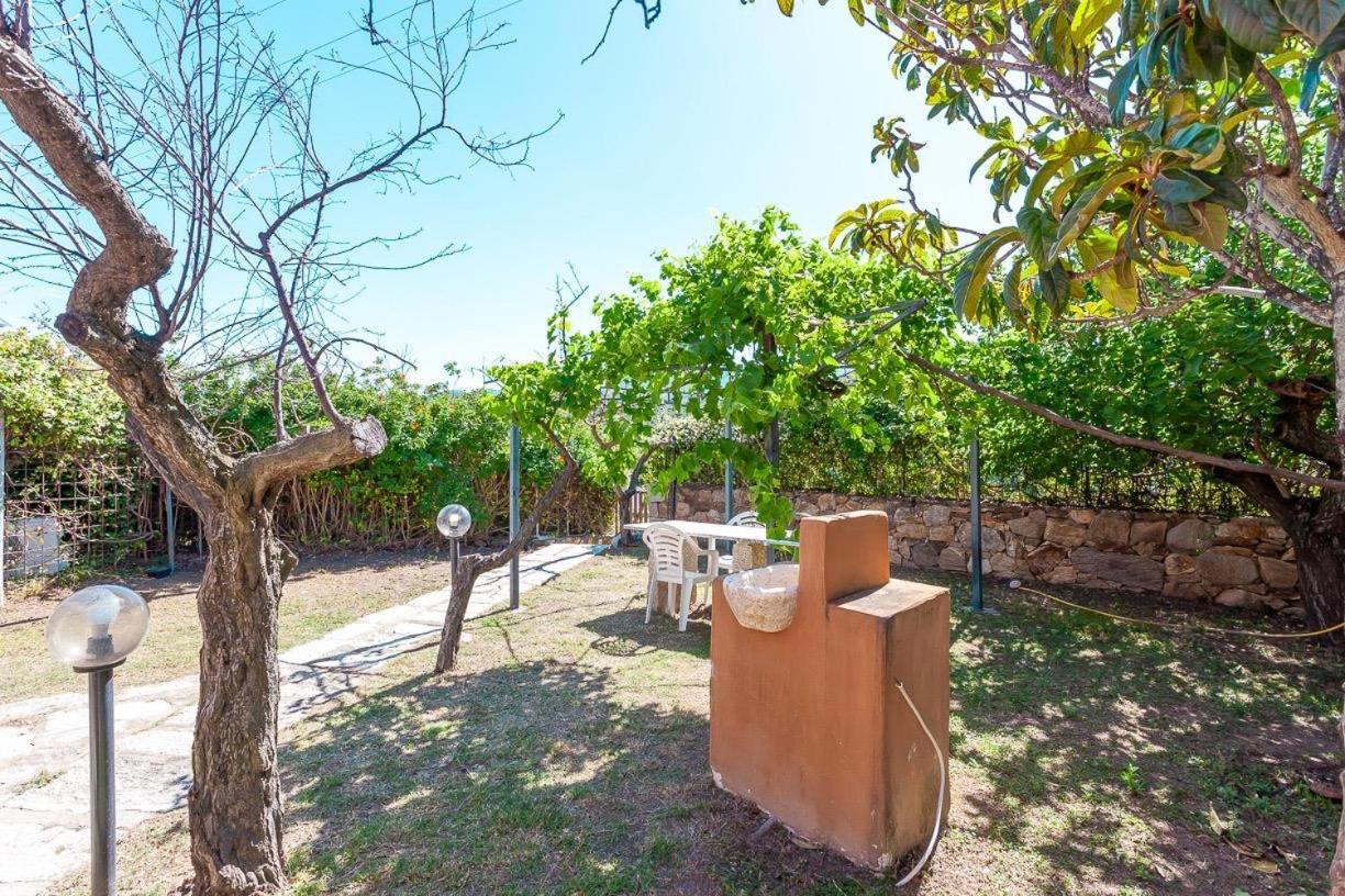 B&B Pettirosso Garden San Teodoro  Zewnętrze zdjęcie