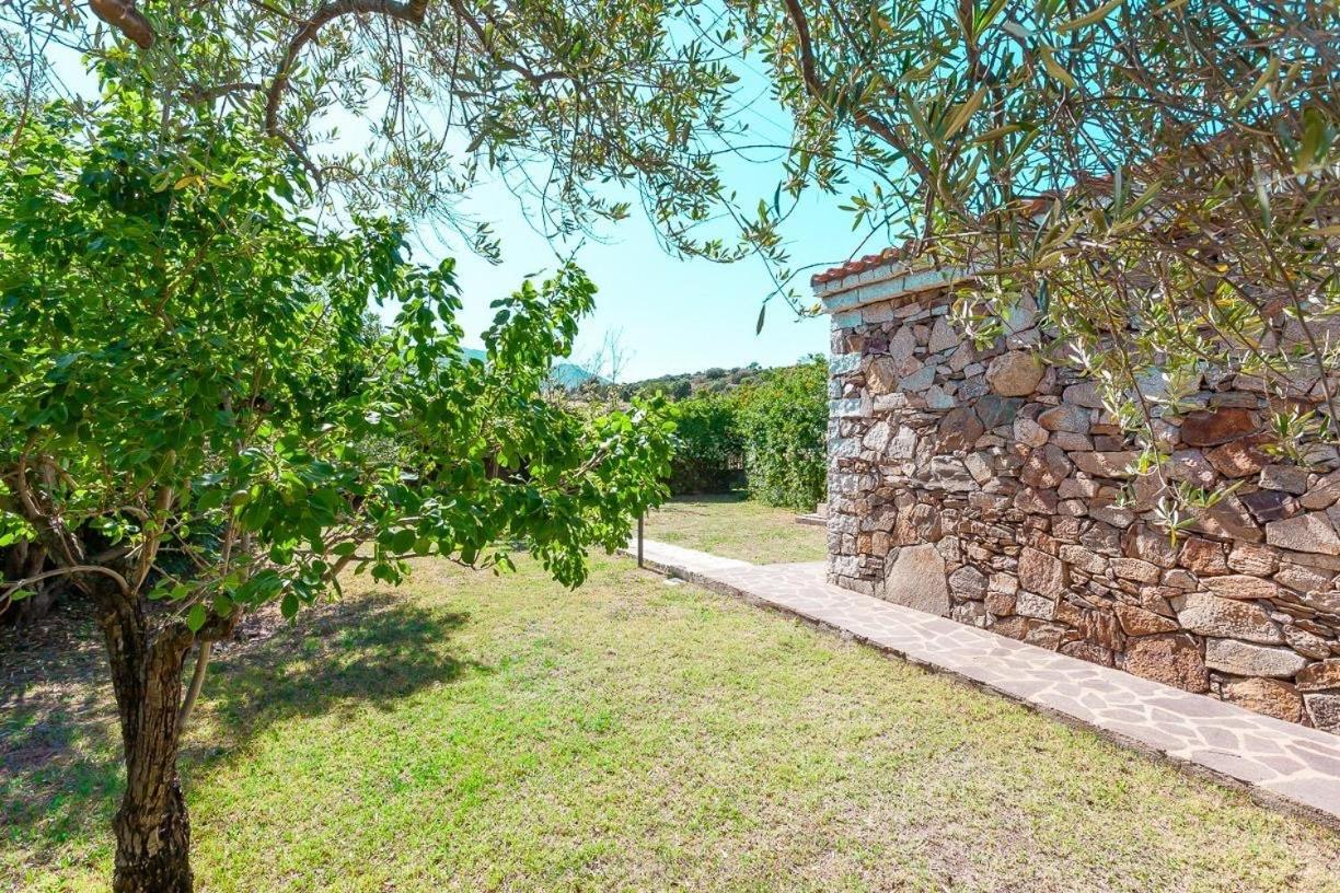 B&B Pettirosso Garden San Teodoro  Zewnętrze zdjęcie
