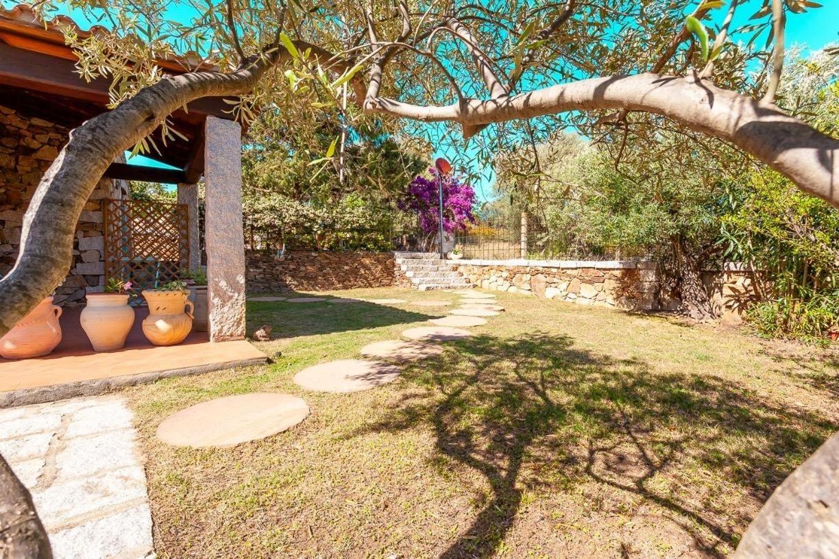 B&B Pettirosso Garden San Teodoro  Zewnętrze zdjęcie