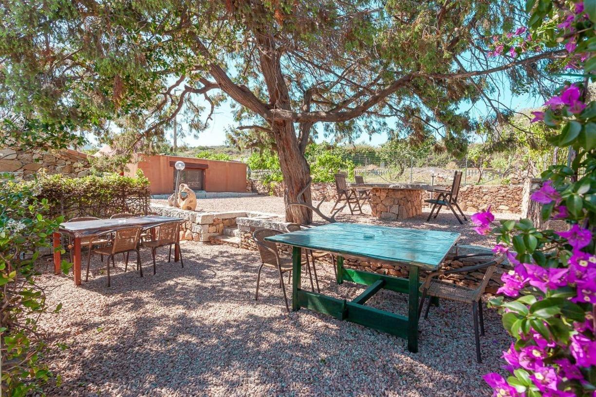 B&B Pettirosso Garden San Teodoro  Zewnętrze zdjęcie