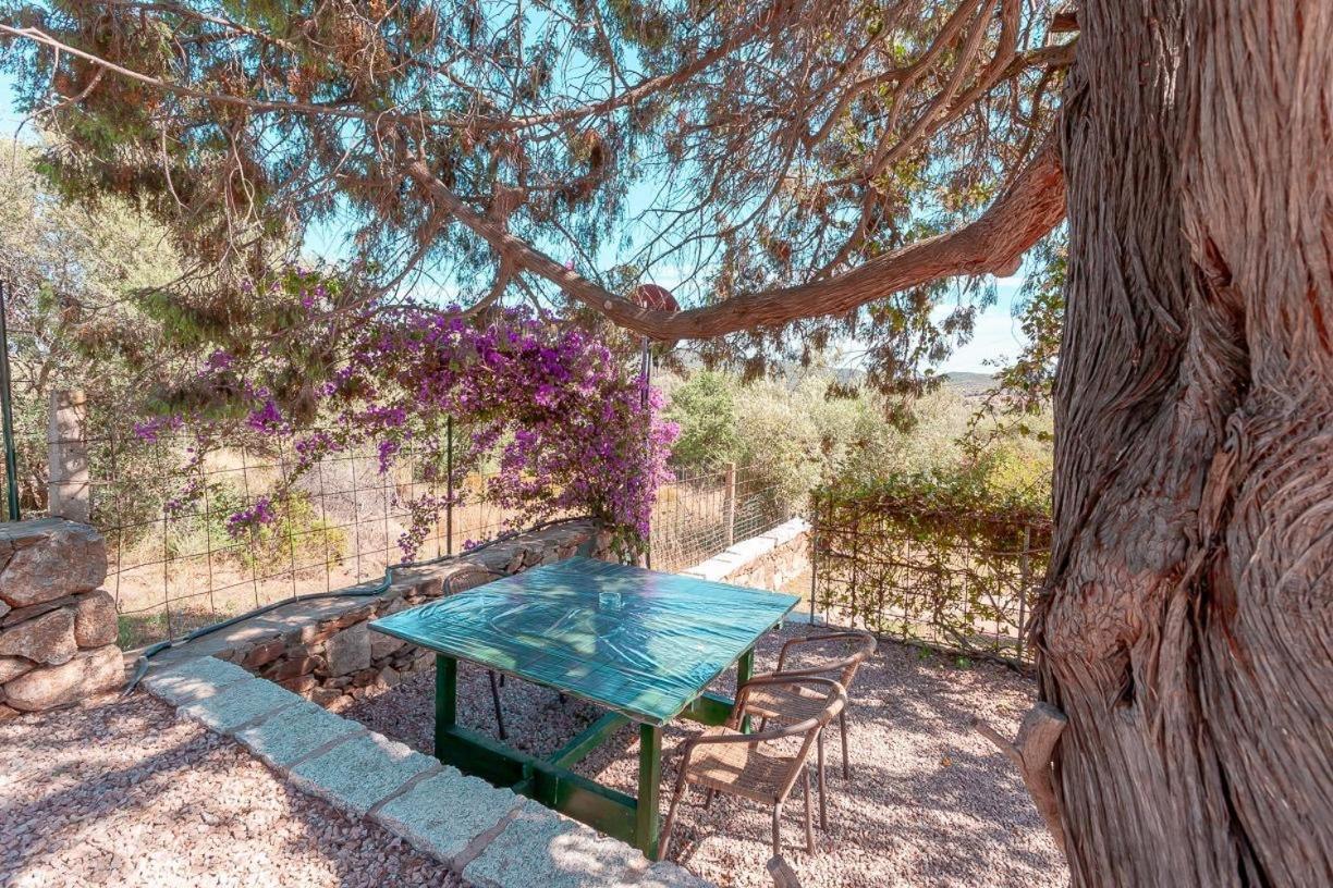 B&B Pettirosso Garden San Teodoro  Zewnętrze zdjęcie