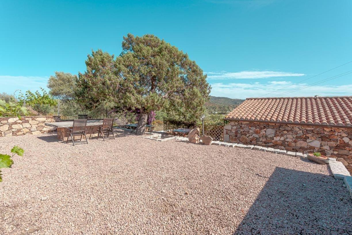 B&B Pettirosso Garden San Teodoro  Zewnętrze zdjęcie